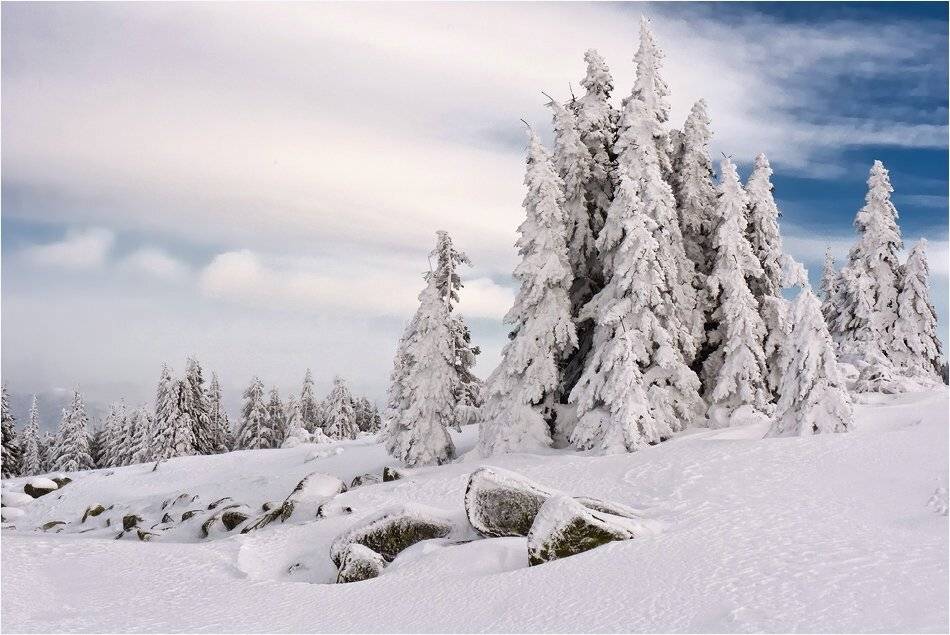bulgaria, , vitosha, Svetoslav