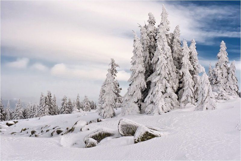 bulgaria, , vitosha  фото превью
