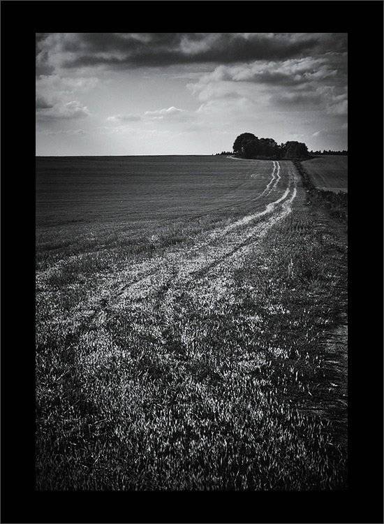, Waldemar Wienchol