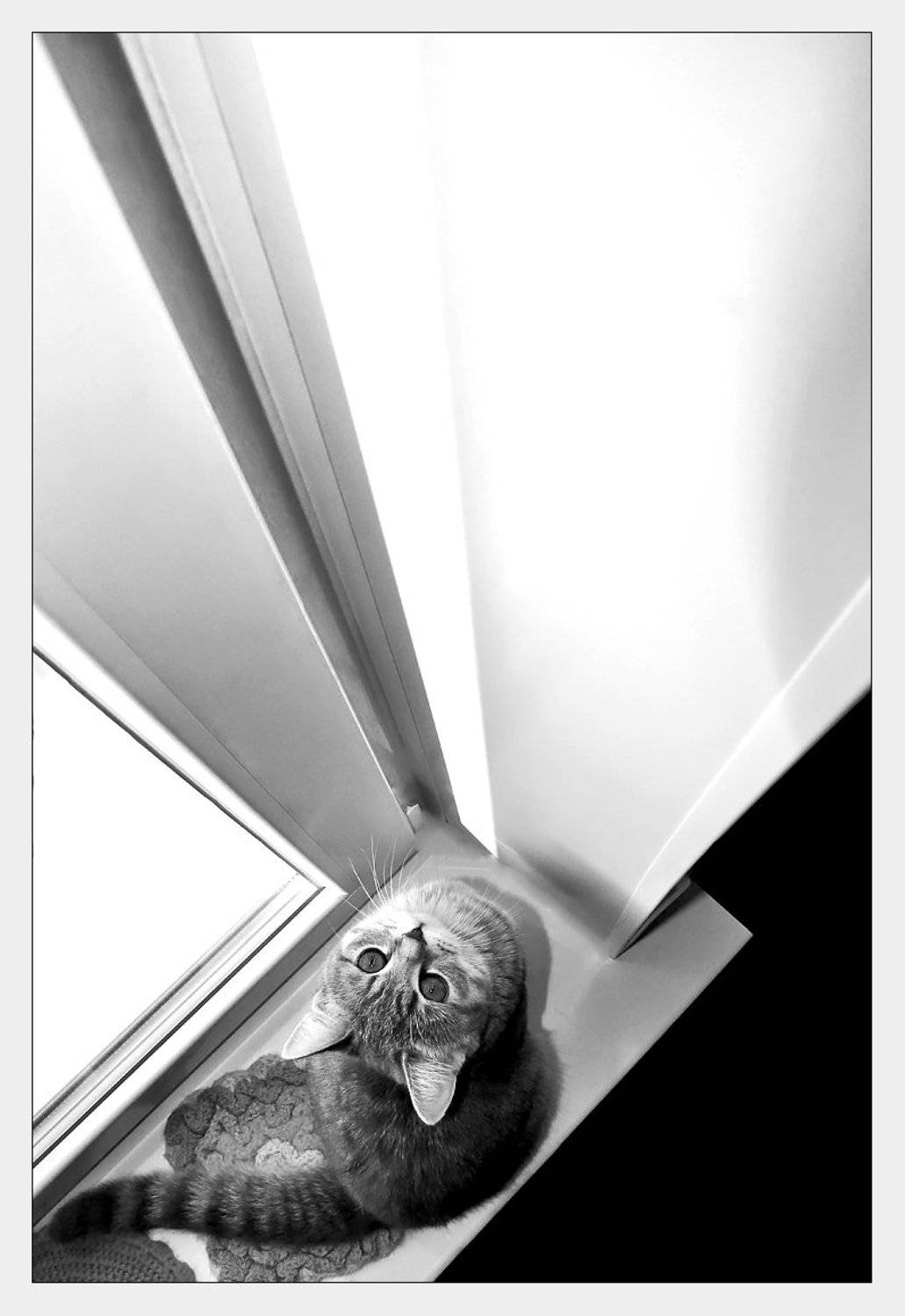 , Елена Горохова