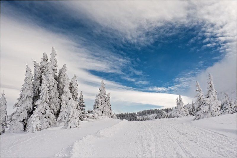 bulgaria, , vitosha  фото превью