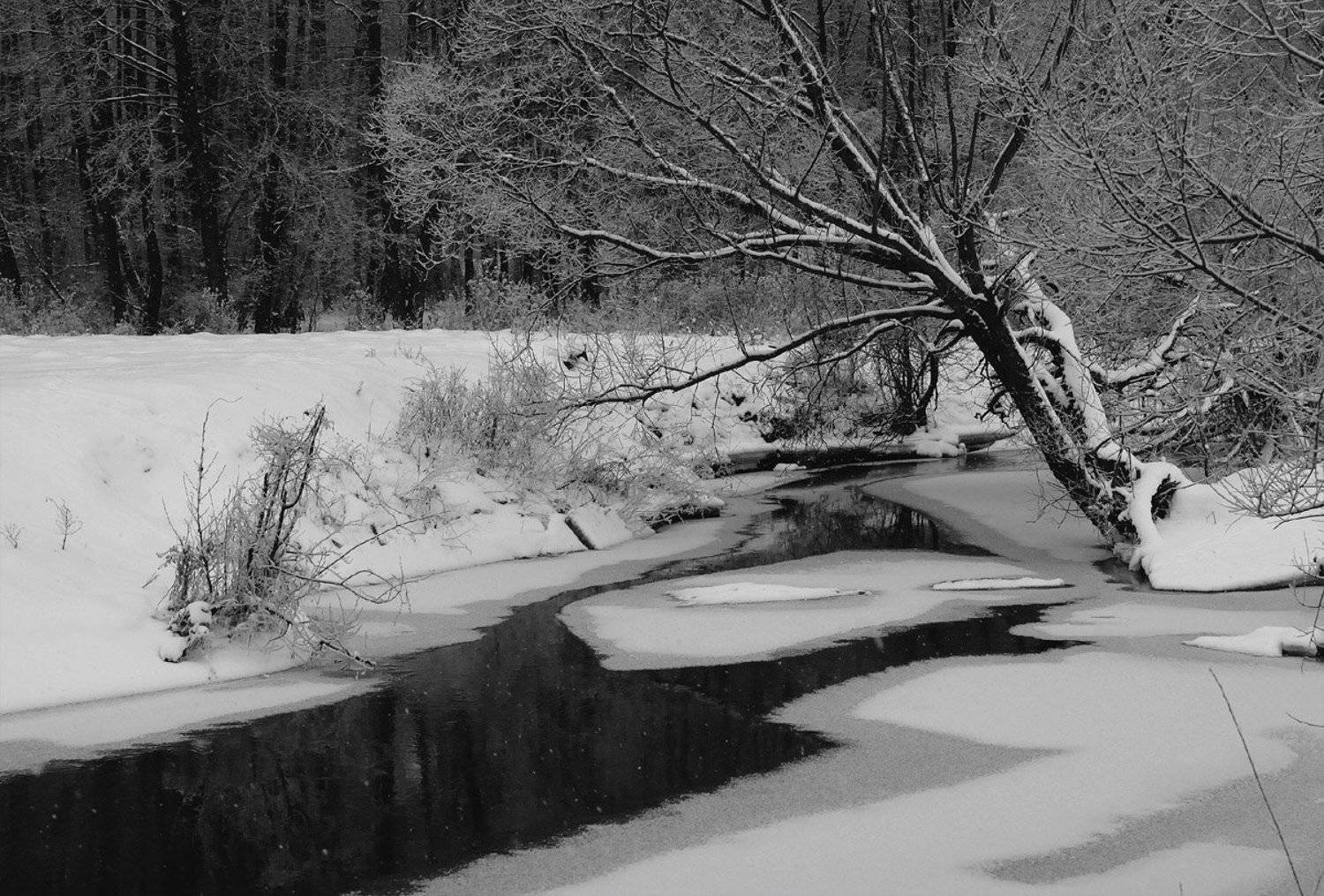 , Александр