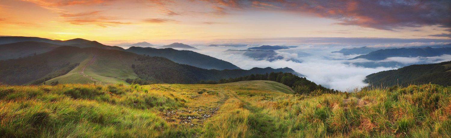 , Денис Кривой