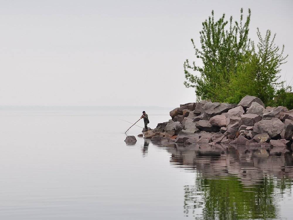 , Игорь Олейник