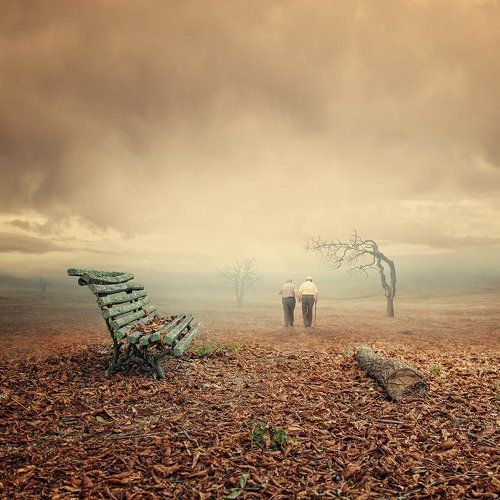 The endless stories