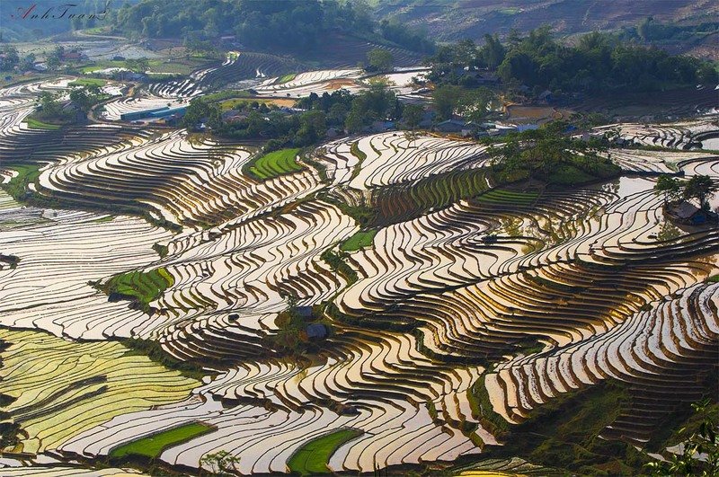 #sellingphoto #landscape Sàng Ma Sáo фото превью