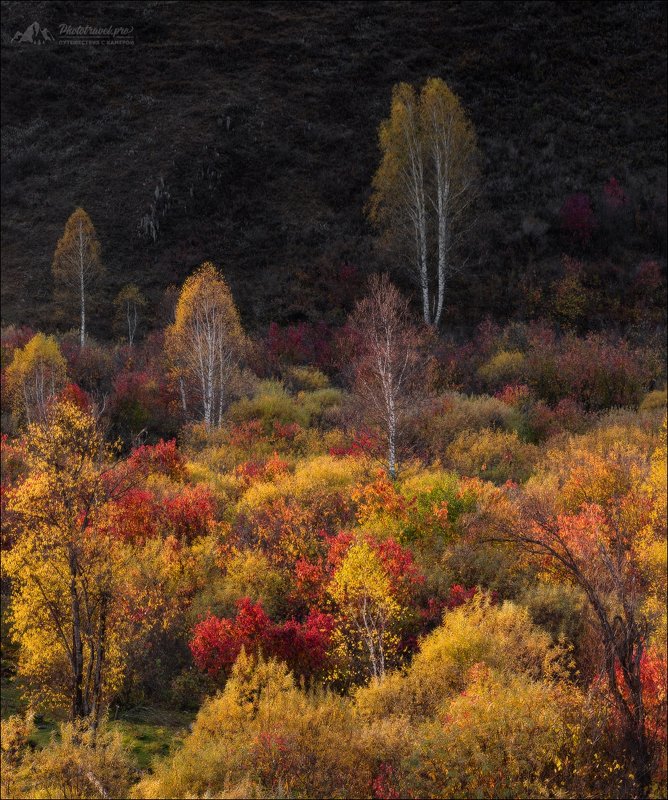 Осенний этюд фото превью