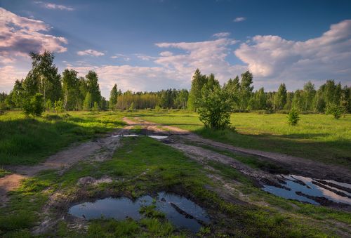 И майский день уж тихо тает, роняя блики синевы