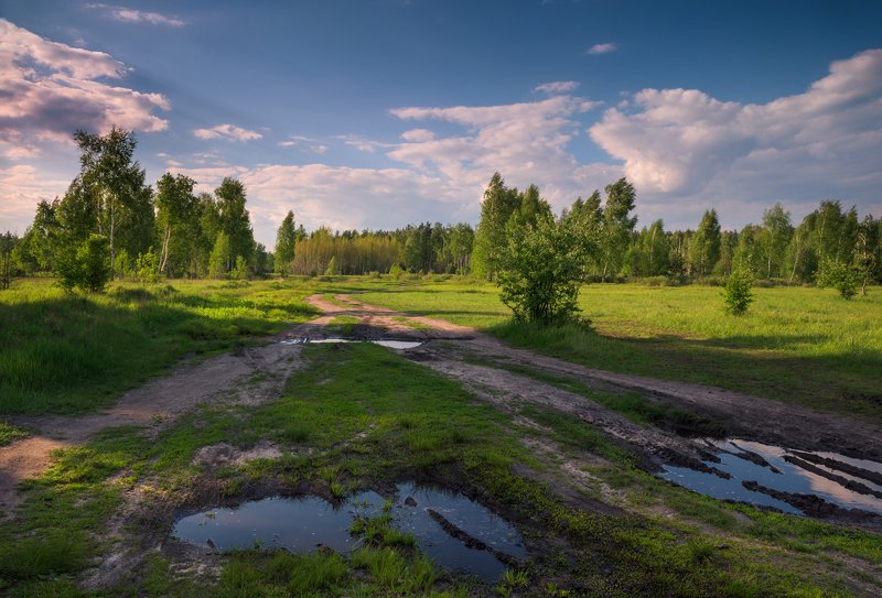 луг, весна, май, вечер И майский день уж тихо тает, роняя блики синевы фото превью