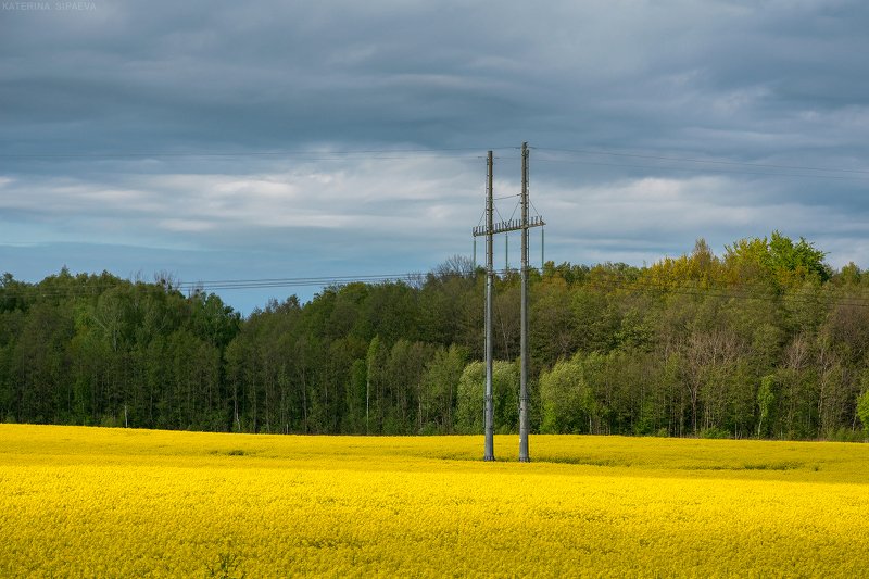 пейзаж, весна, поле Полевой минимализм фото превью