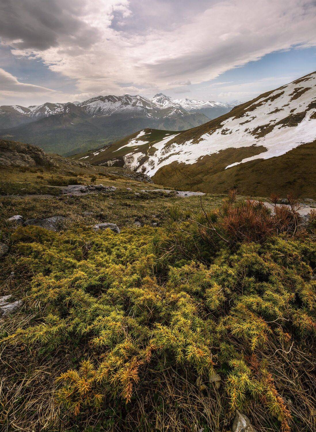 северный кавказ, рожкао, дженту, весна, загедано-урупский., Николай Мысливцев