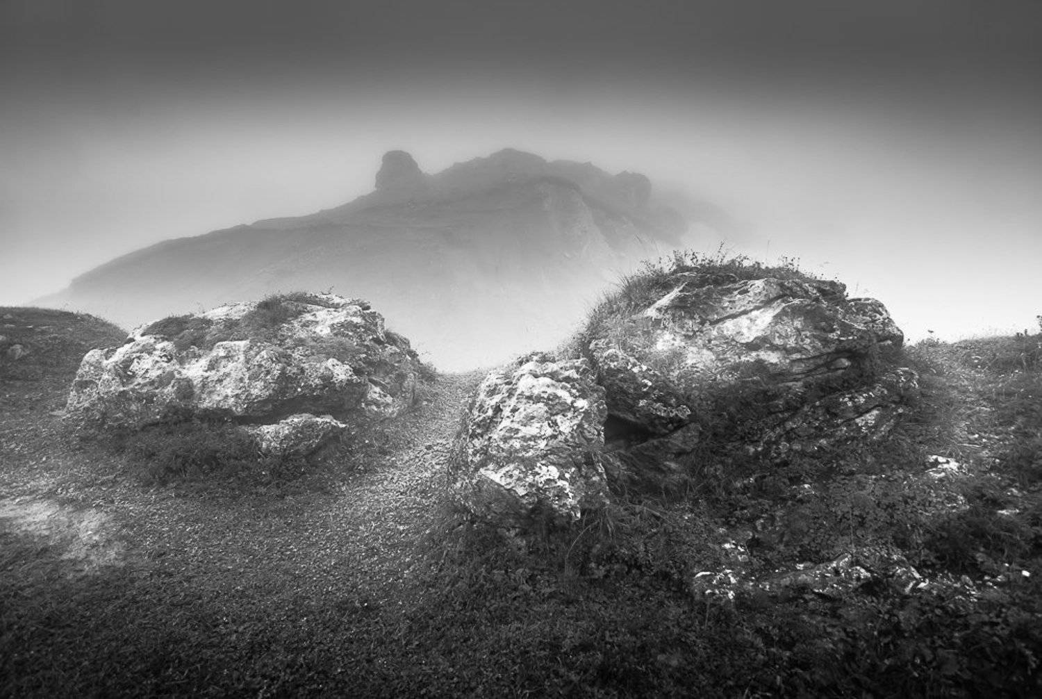 , Светлана Морозова