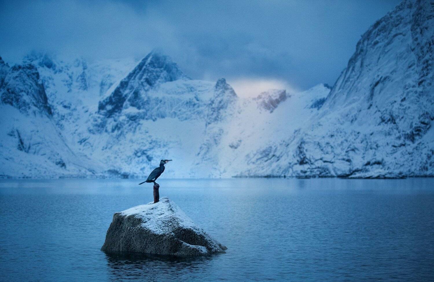 , Vladimir Karamazov