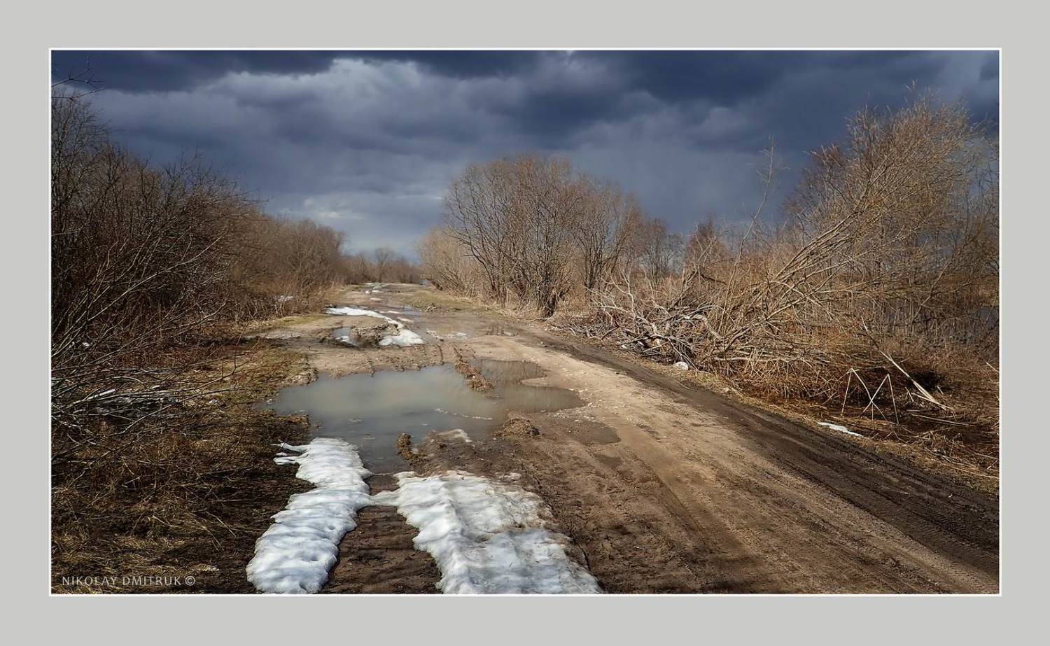 пейзаж, николай дмитрук