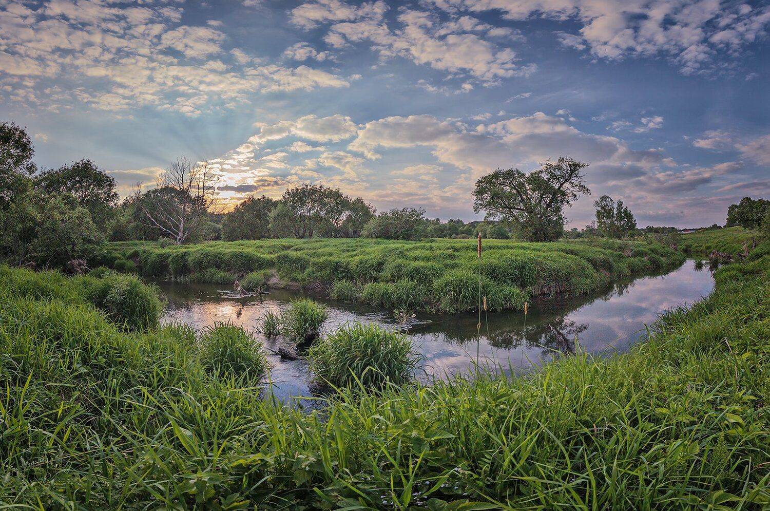 , Николай Андреев