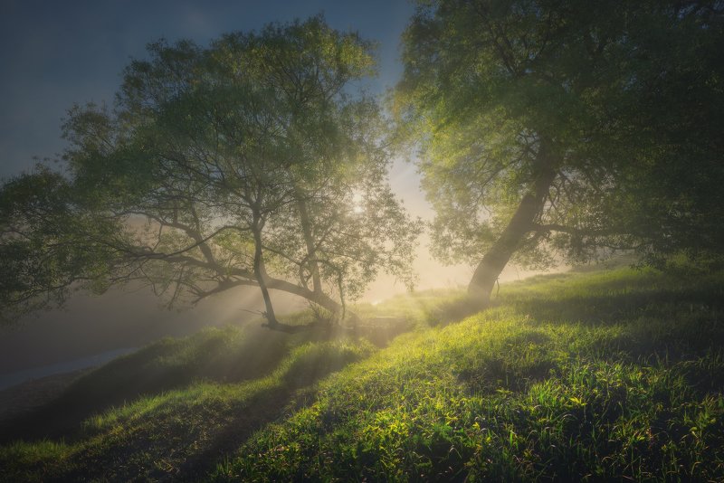 Майское утро фото превью
