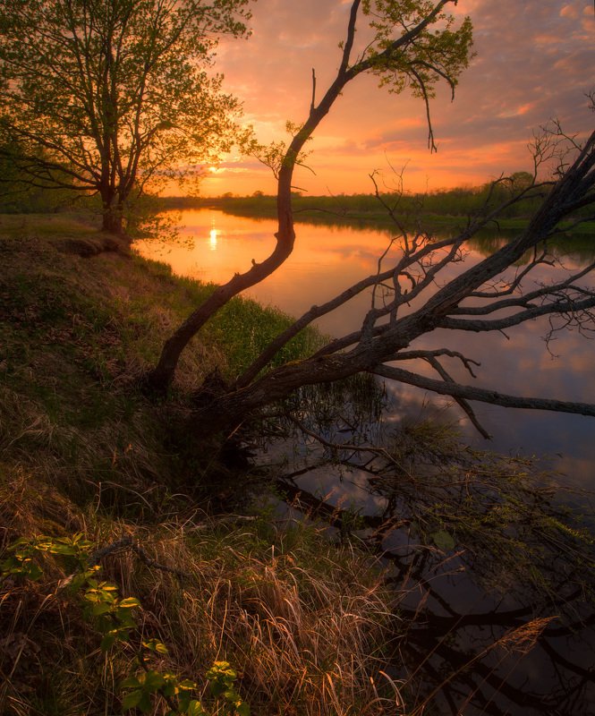 Май 2020. Закат с берега р.Березина фото превью
