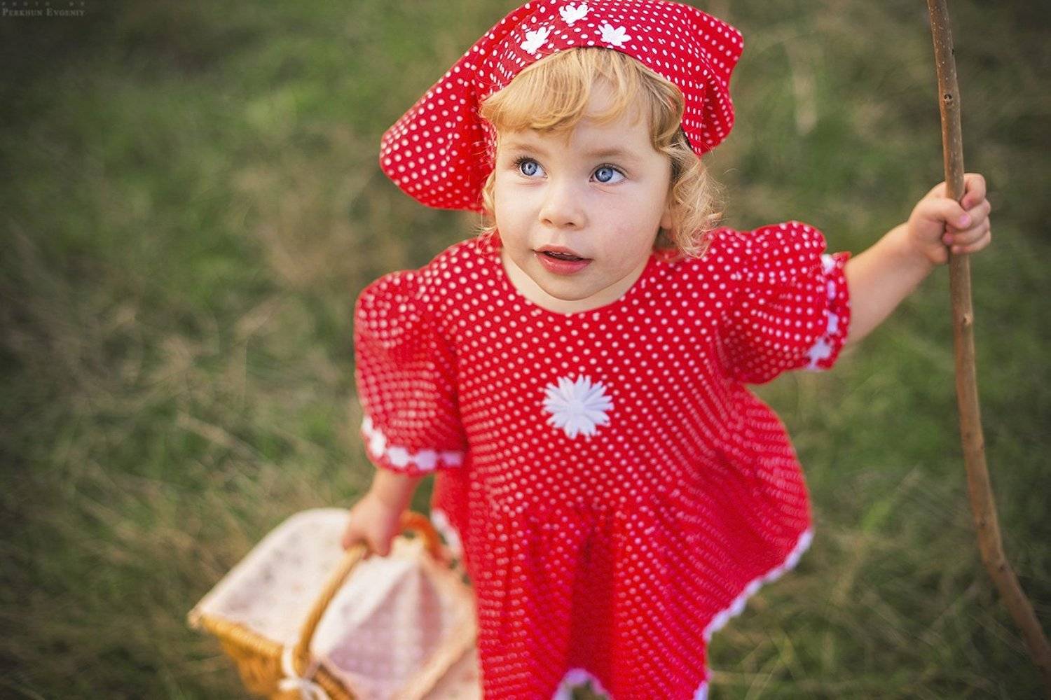 красная шапочка, девочка, Перхун Евгений
