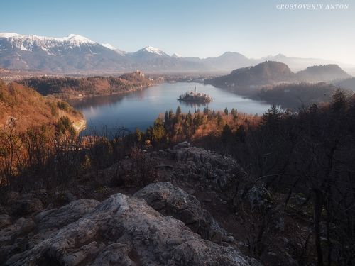 Нежное утро