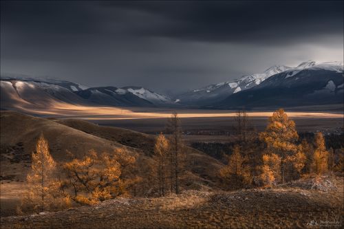 Игра на контрасте ..