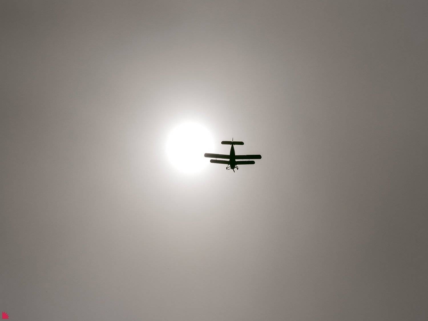 , Осипов Ёжъ Александр