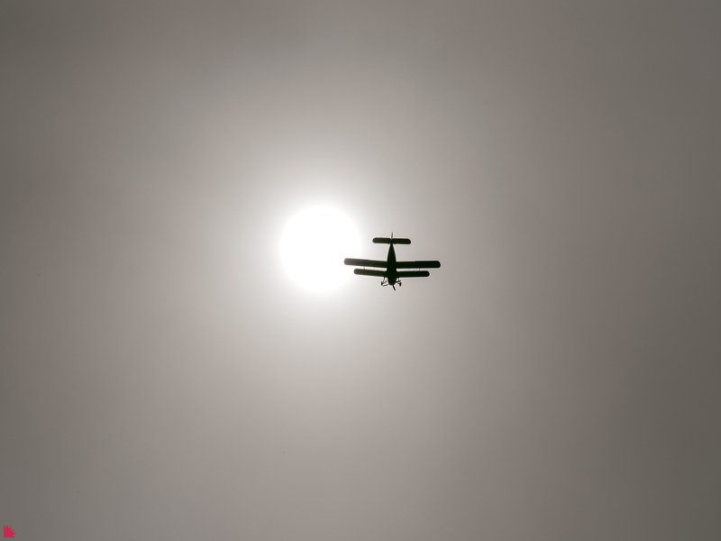 На краю солнца фото превью