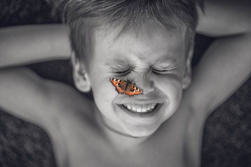 бабочка  фото превью