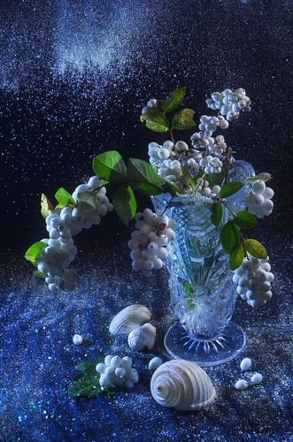 Волшебный сон...