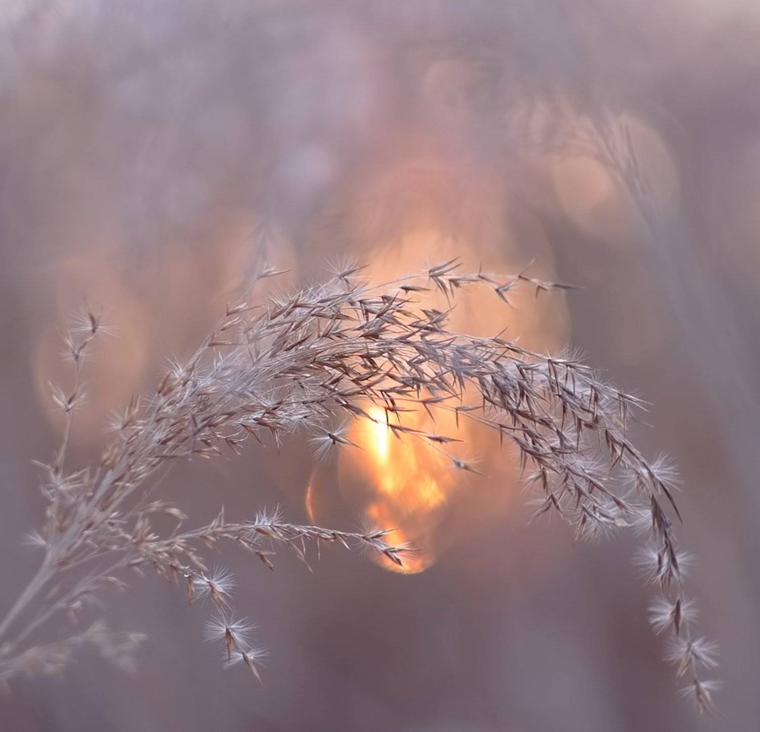 вечер, закат, приморье, природа, Евгений Паршуков