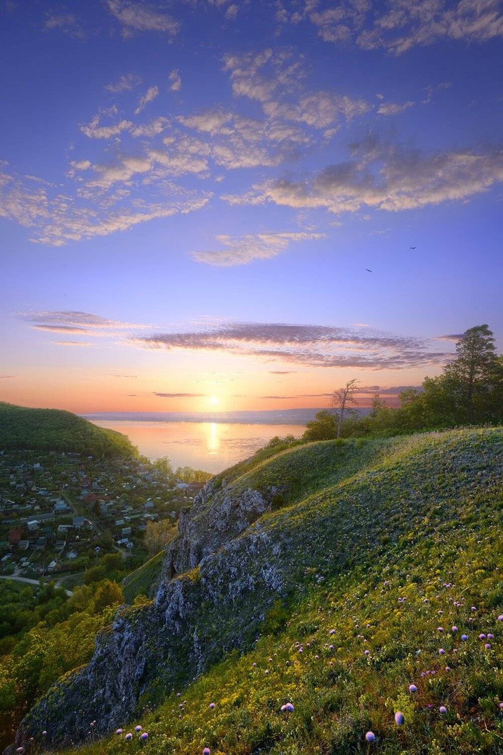 , Александр Тормосин