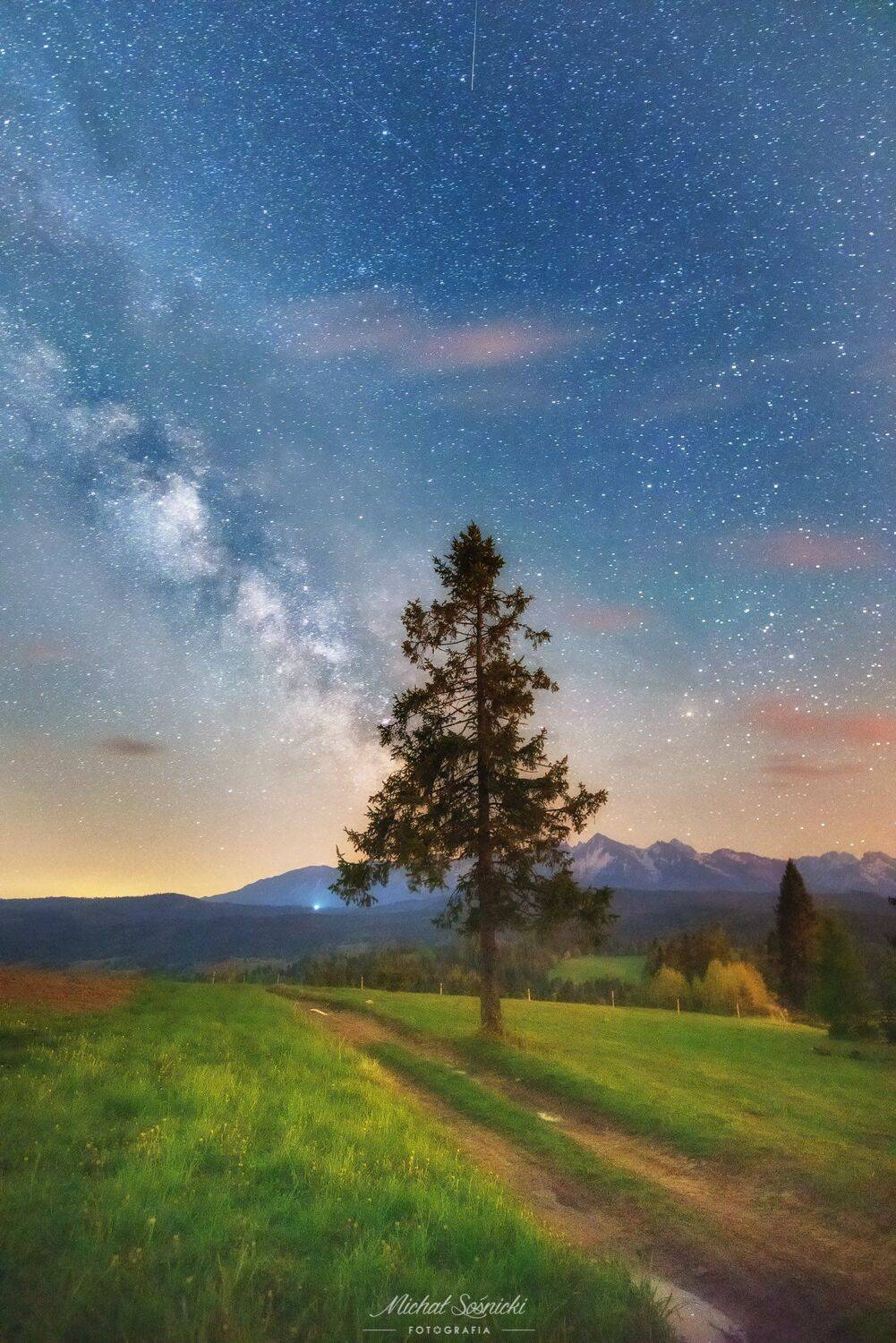 #milkyway #tree #landscape #night #pentax #longexpo #poland, Michał Sośnicki
