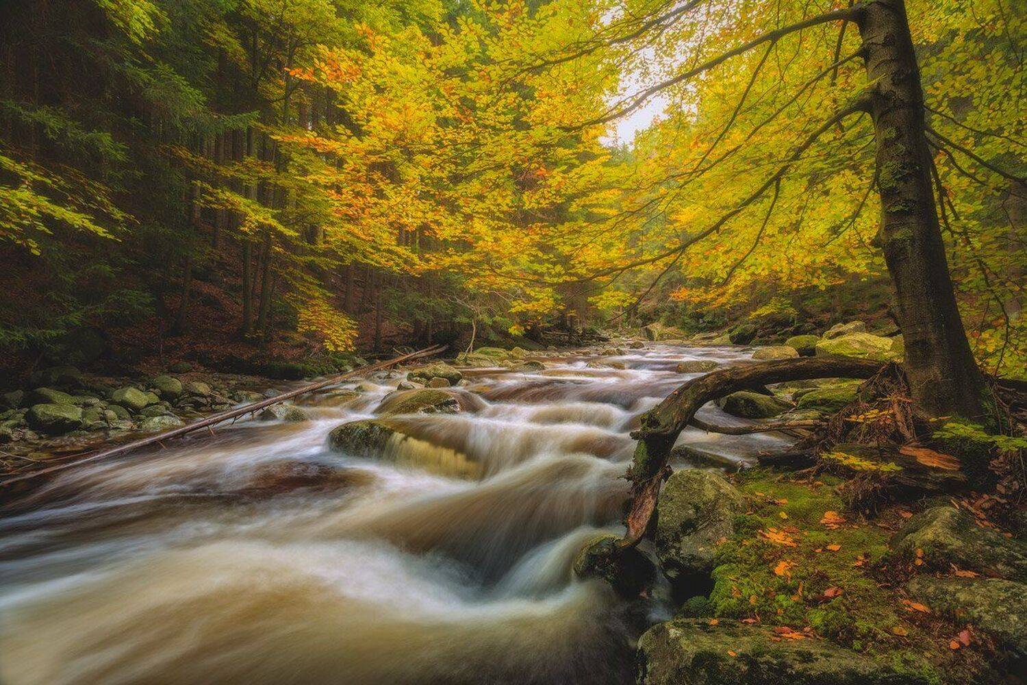 autumn,mountains,canon,waterfall, Iza i Darek Mitręga