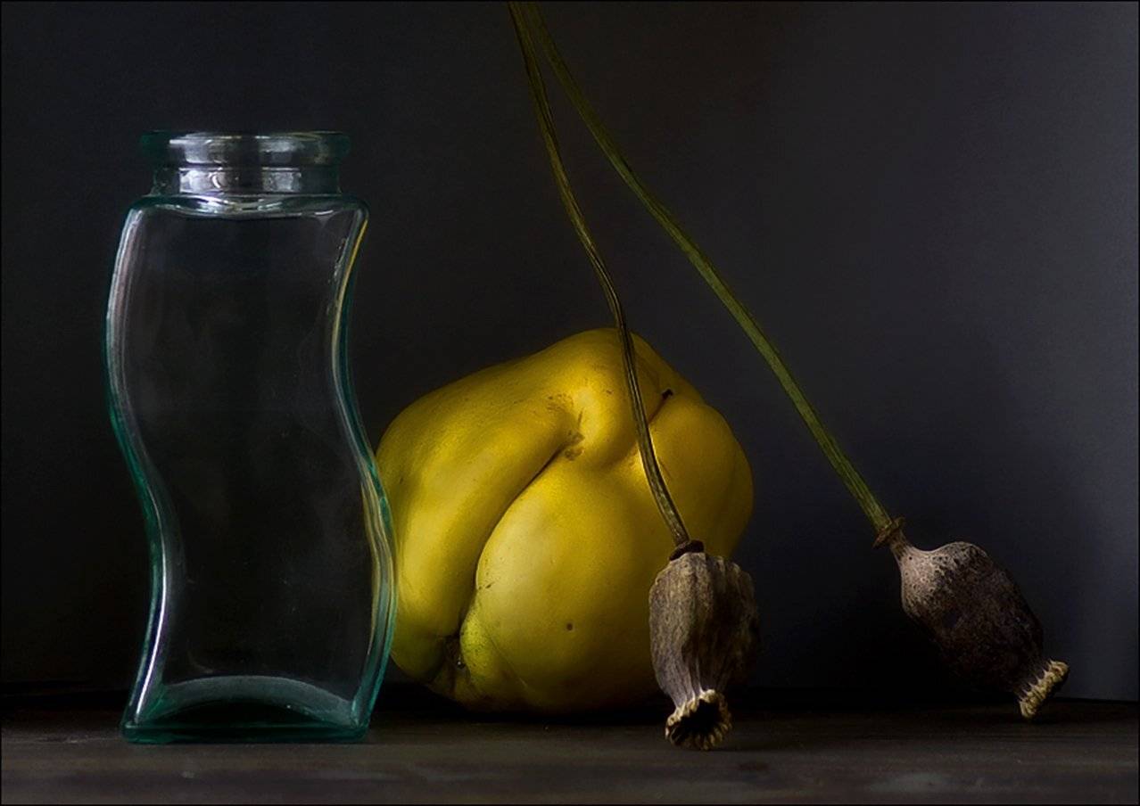 , Stein Georg
