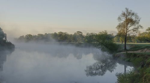 Туманное утро