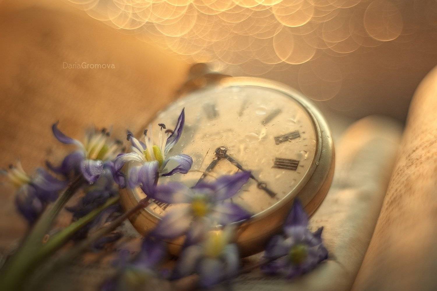 боке, ручной обьектив, мануальная оптика, фотограф, фотосессия, натюрморт, фото, блики, цветы, гелиос, макро, закат, цветы, время, часы, книга, Дарья Громова