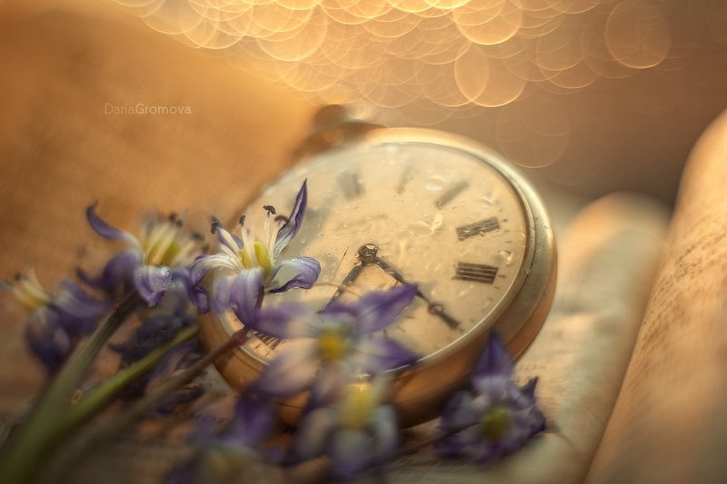 боке, ручной обьектив, мануальная оптика, фотограф, фотосессия, натюрморт, фото, блики, цветы, гелиос, макро, закат, цветы, время, часы, книга Время фото превью