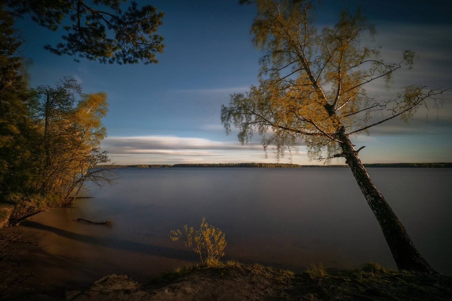 , Константин Дэм