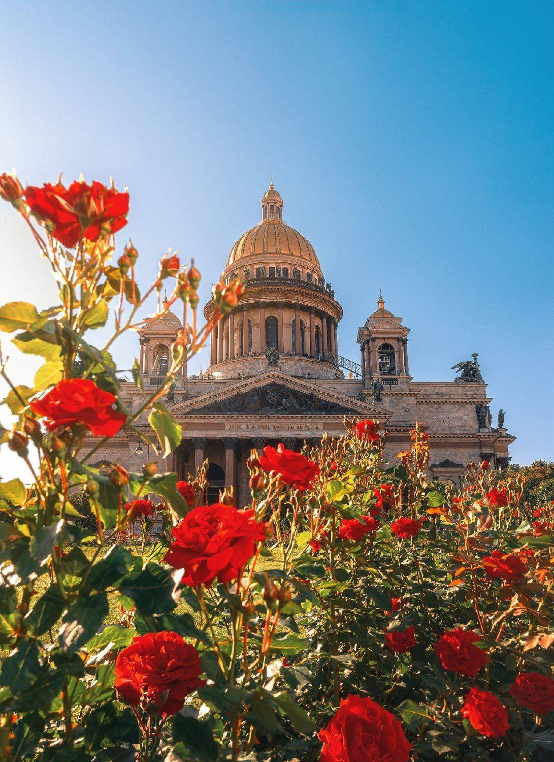 saint isaac\'s cathedral, санкт петербург, питер, розы, достопримечательность, город, цветы, Анастасия Мазурева