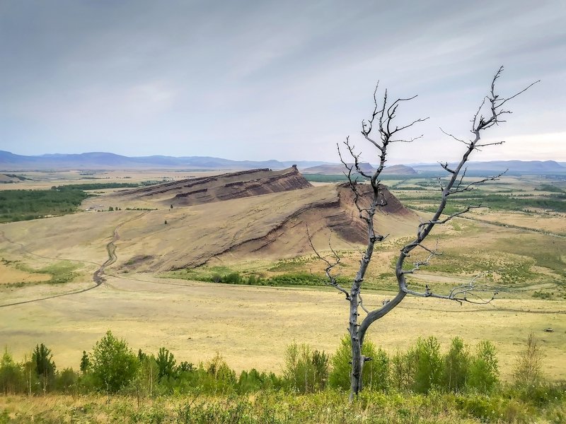 Картина маслом. Сундуки. Р.Хакасия. фото превью