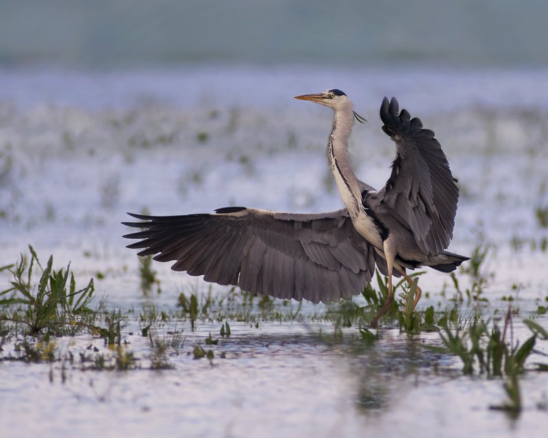 Утреннее объятие фото превью