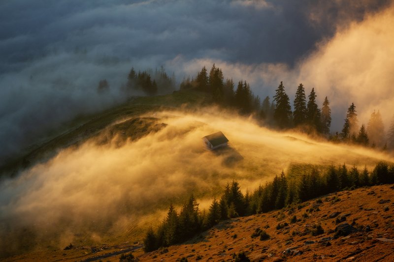 trees, landscape, travel, nature, mountain, romania, cold, sunset, autumn, fog Golden Sunset фото превью
