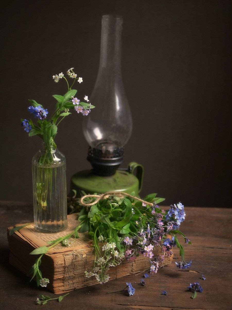 сергей алексеев, натюрморт, Сергей Алексеев