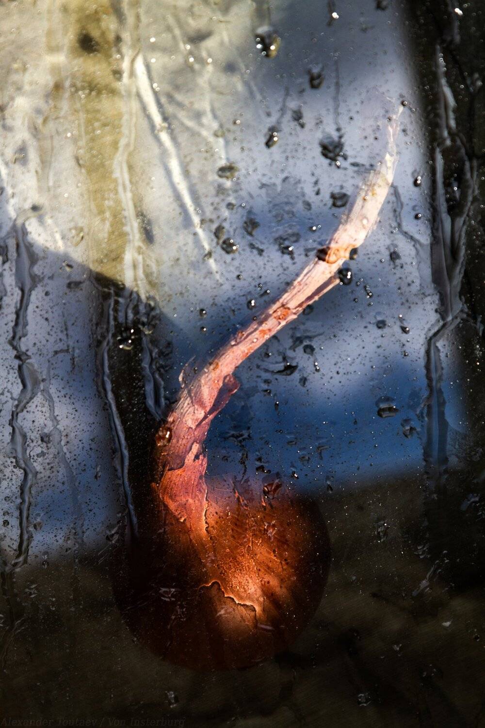 натюрморт, nature morte, still life, АлександрТутаев