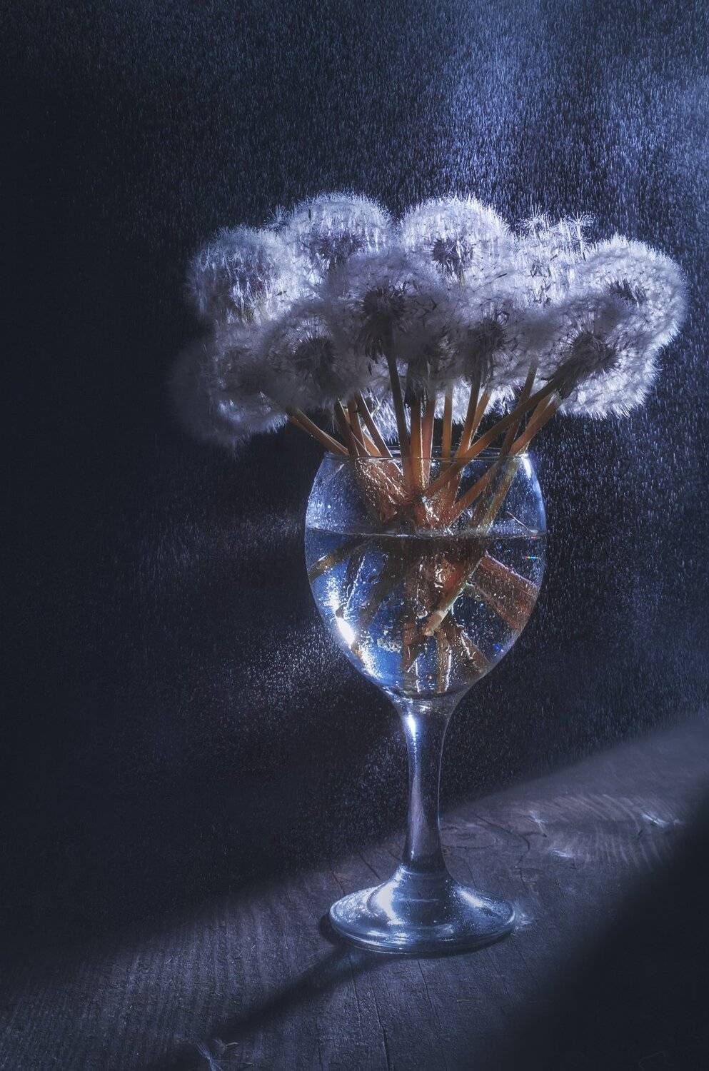 бокал,одуванчики,пух,свет,холодный,брызги,лунный, Владимир Володин