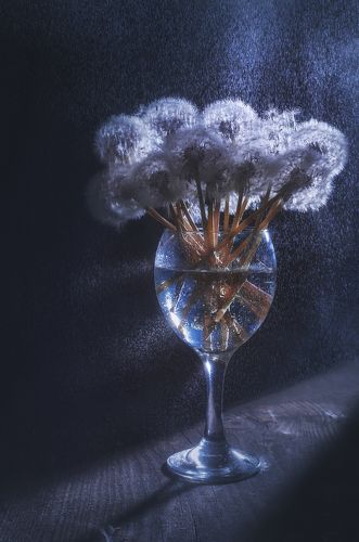 В свете луны