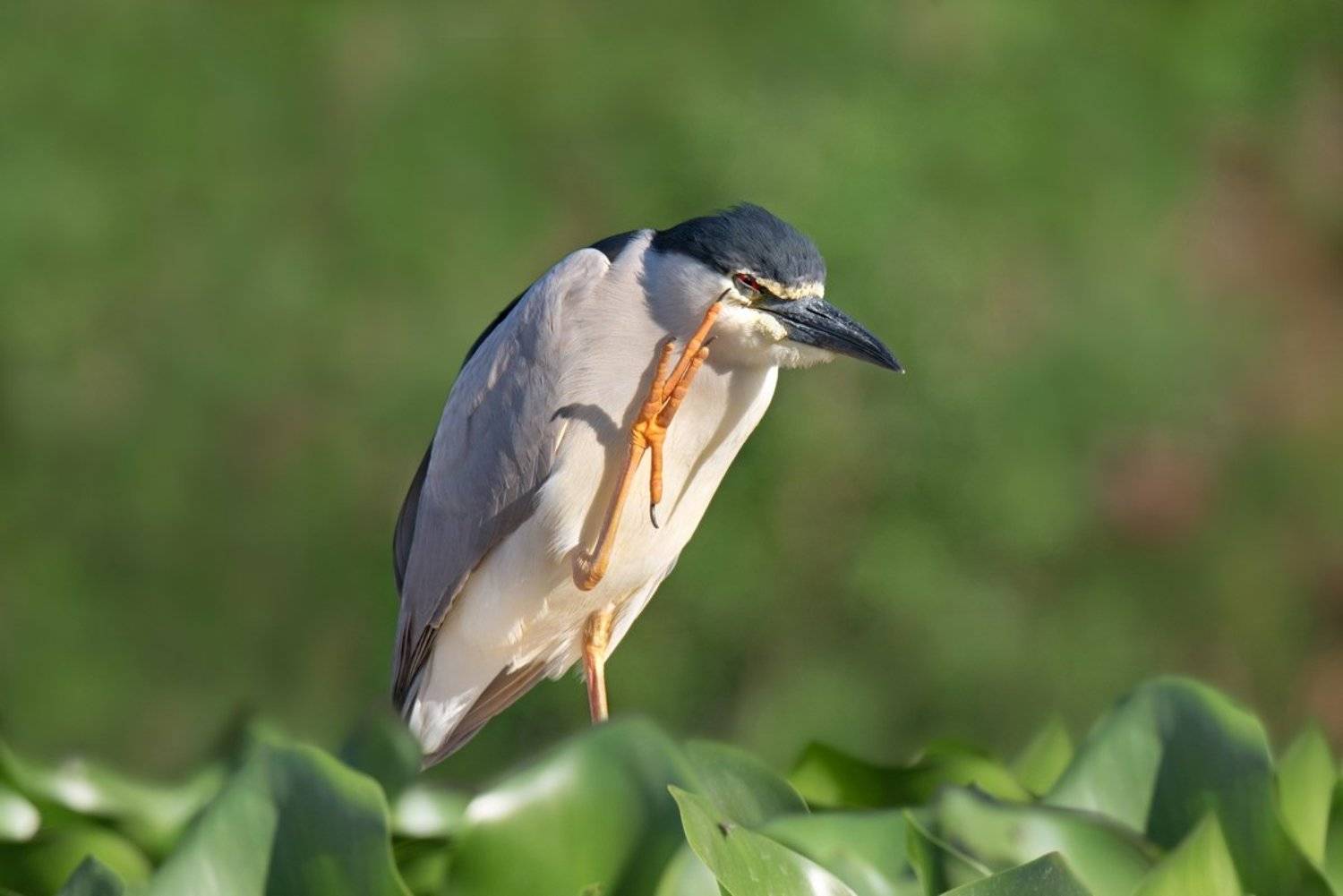 , Людмила Бекман