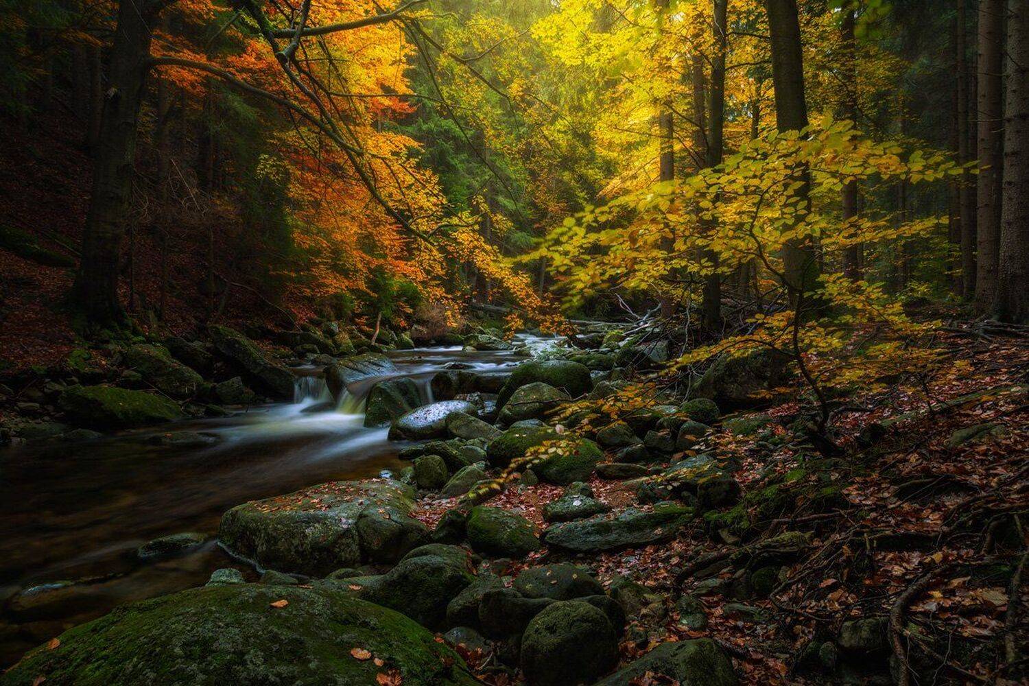 autumn,mountains,canon,waterfall, Iza i Darek Mitręga