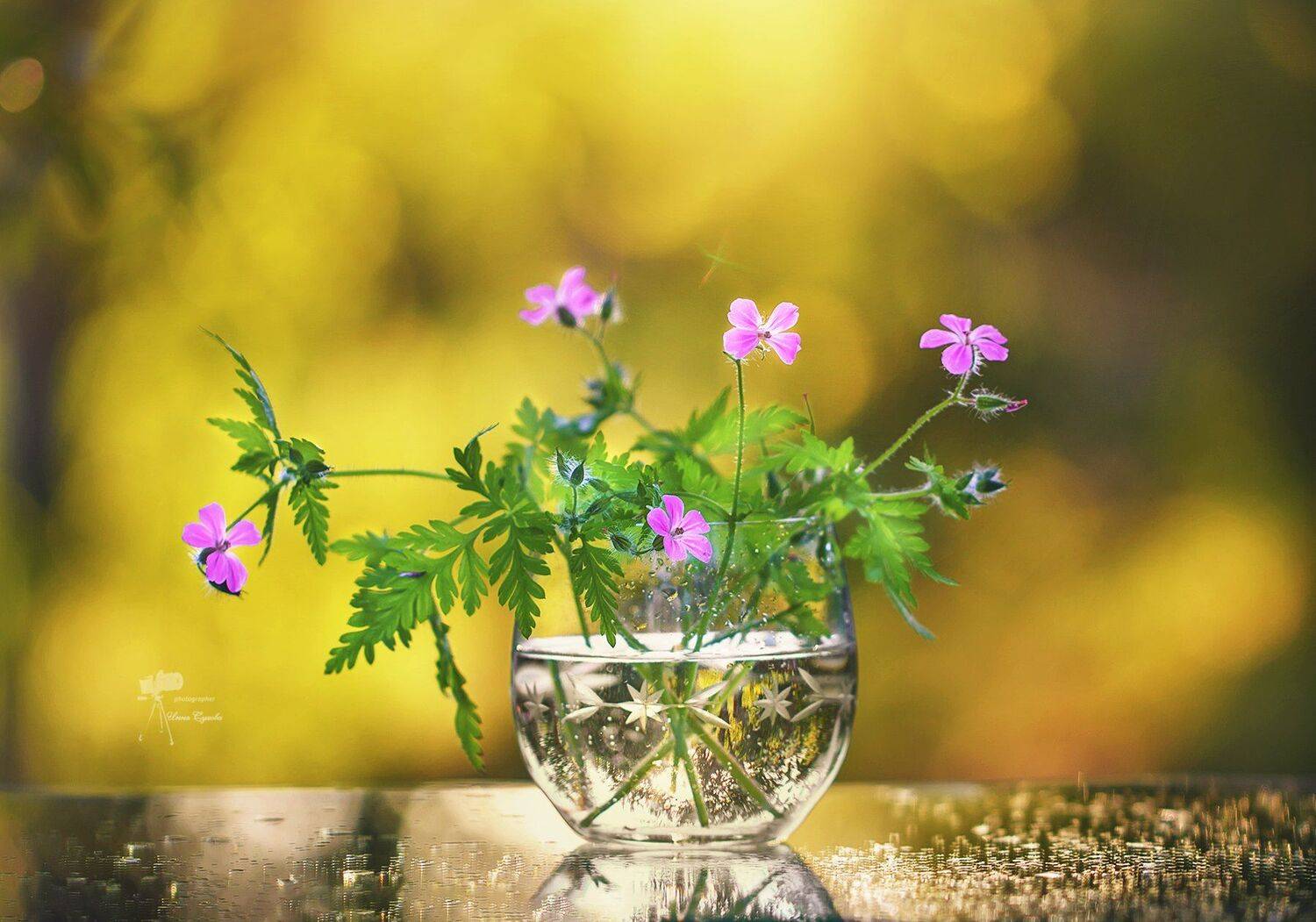 , Инна Сухова