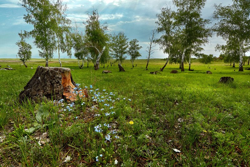 южный урал,оренбургская область, орск, новотроицк, Весна на Южном Урале фото превью