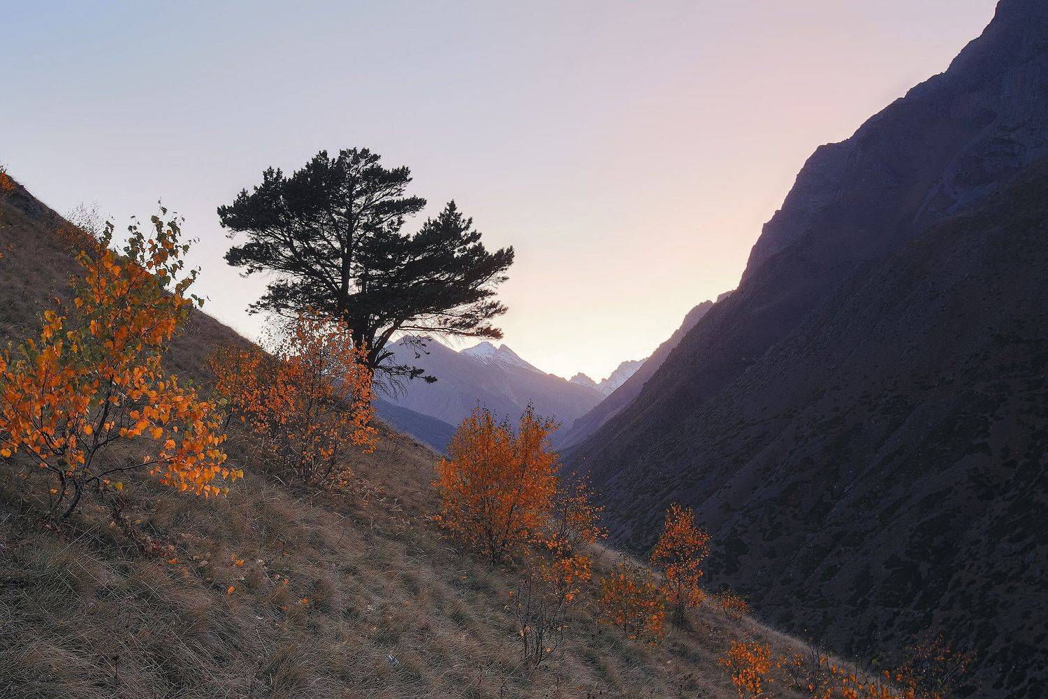 Кавказ, Балкария, утро, горы, ущелье, Булунгу, Владимир Кочкин